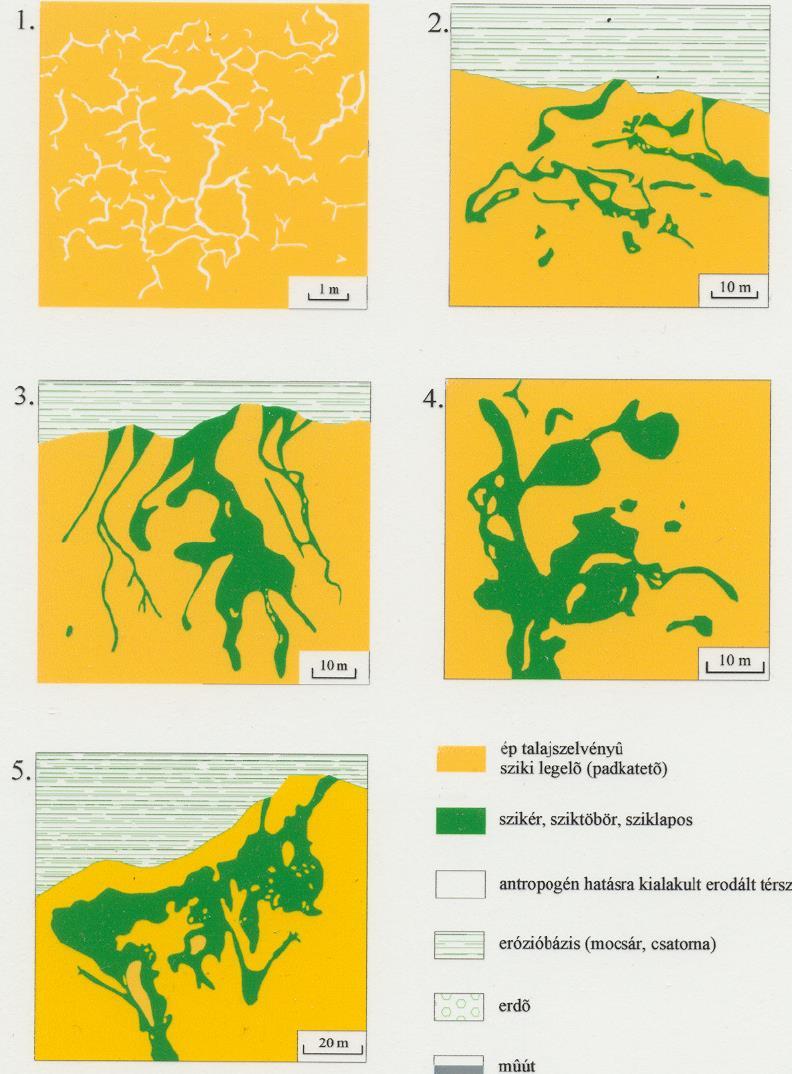 Szikformák kialakulása Repedések menti lineáris erózó szikháton szikerek kialakulása Szikerek