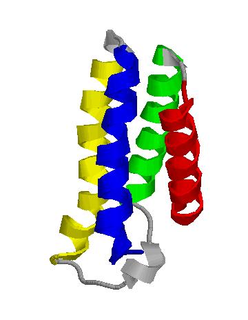 citokróm b 562 (a légzési