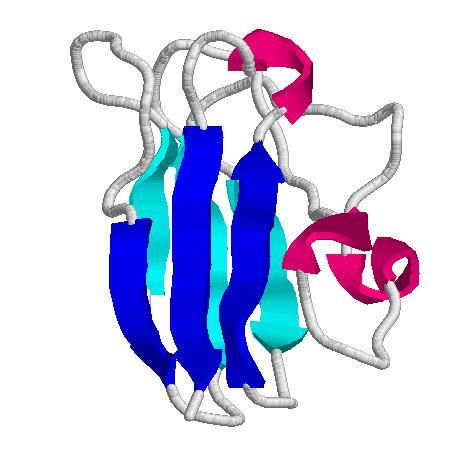 β-redő topológiák