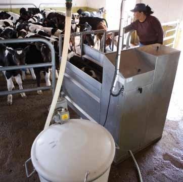 DeLaval borjúitatók A nyereséges tejtermelés az egészséges, nagy tejhozamú teheneken múlik. A mai borjak a holnap nagy tejhozamú tehenei lehetnek, ezért sok múlik a felnevelésük módján.