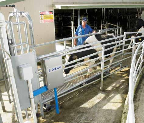 DeLaval AWS100 automatikus állatmérleg A tehenek testtömegének napi ismerete nagyon fontos kiindulópont a hatékonyabb telepirányításhoz.