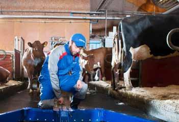 Az állatok egészségének megőrzése növeli a termelékenységet, a tejminőséget és a nyereséget.