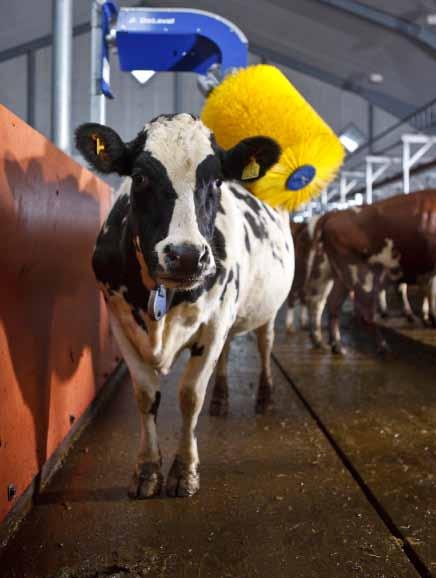 A DeLaval lengő tehénkefe része a DeLaval fenntartható tejtermelés iránti elkötelezettségének.