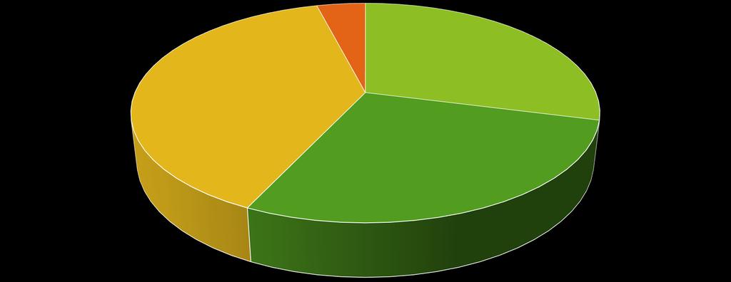 Végzettség 39% 4% 29%