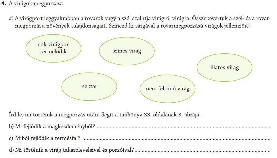 Kiszínezni az ábra megfelelő részét, majd a tankönyv ábráját