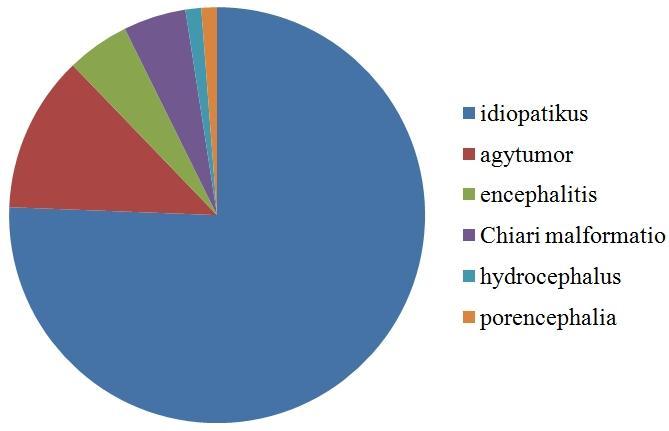 kontroll csoportban nem volt kamra aszimmetriát mutató kutyák között brachycephal jellegű. 6.2.