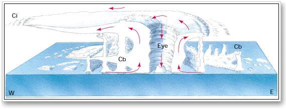 A hurrikánok alakja Erős, nagykiterjedésű Cumulonimbus (Cb)/ zivatar