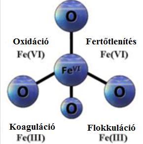 Ferrát (FeO 4 2- ) Hatékony és környezetbarát oxidáló- és egyben fertőtlenítőszer Ható komponense a Fe(VI) ion Multifunkcionális, többféle szennyezőanyag koncentrációjának csökkentésére alkalmas az