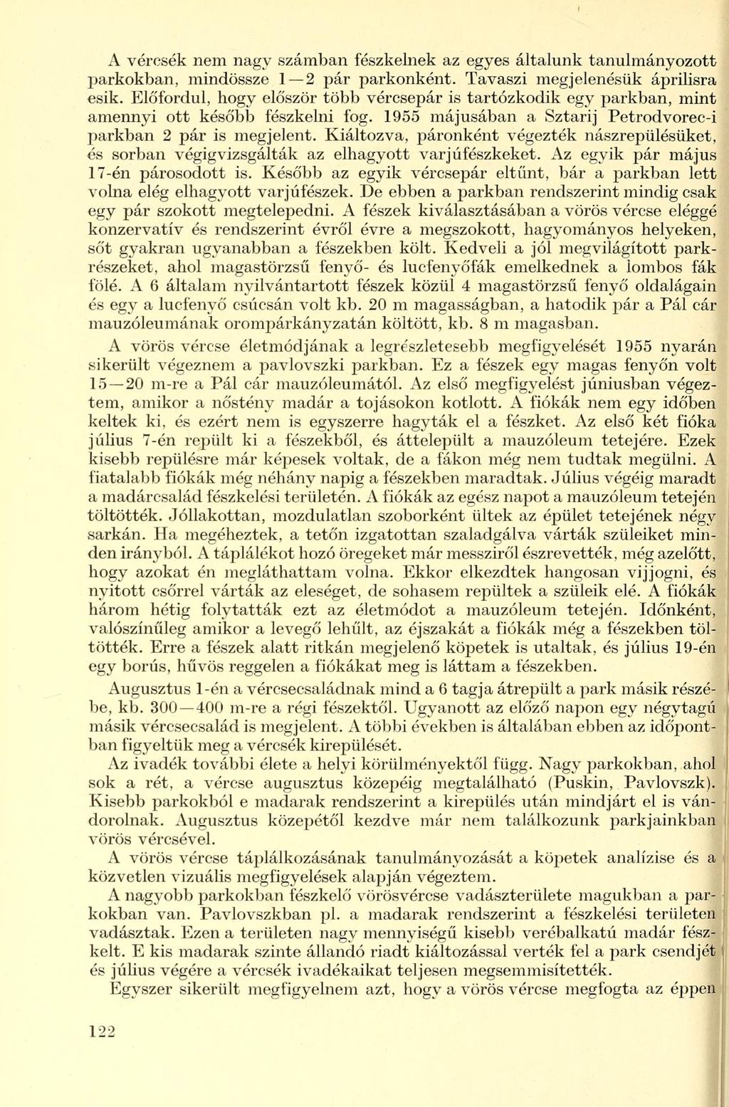 A vércsék nem nagy számban fészkelnek az egyes általunk tanulmányozott parkokban, mindössze 2 pár parkonként. Tavaszi megjelenésük áprilisra esik.