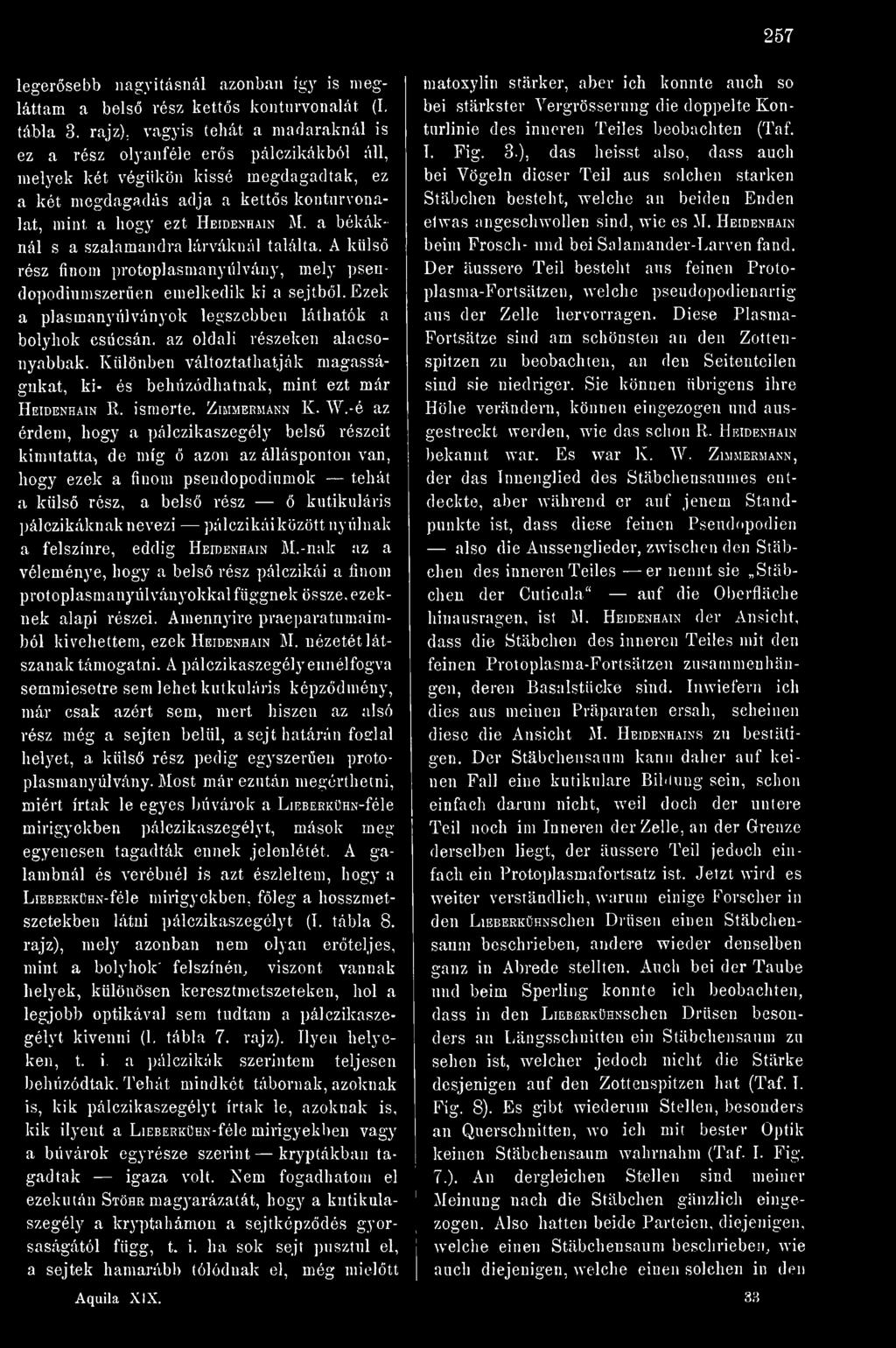 a békáknál s a szalamandra lárváknál találta. A küls rész finom protoplasmanyúlvány, mely pseudopodiuniszeren emelkedik ki a sejtbl.