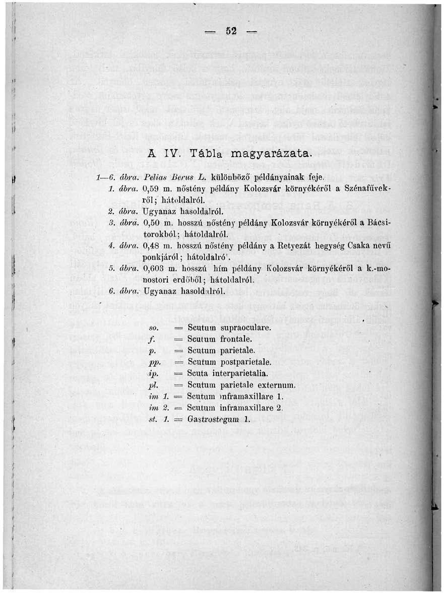 52 _ A IV. Tábla magyarázata. 1 6. ábra. Pelias lierus L. különböző példányainak feje. 1. ábra. 0,59 m. nőstény példány Kolozsvár környékéről a Szénafuvekről; hátoldalról. 2. ábra. Ugyanaz hasoldalról.