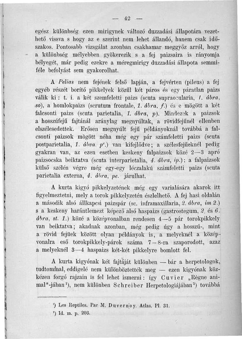 42 egész különbség ezen mirigynek változó duzzadási állapotára vezethető vissva s hogy az e szerint nem lehet állandó, hanem csak időszakos.