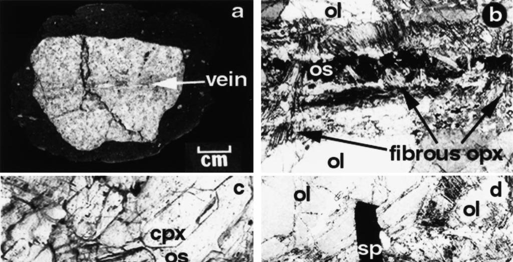 Metaszomatózis nyomai durvaszemcsés spinel peridotit zárványokban.