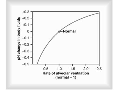 H + forgalom Függ: táplálkozás, anyagcsere, stb CO 2 képződés : 20 mol/nap Sav képződés: 50-100 mmol/nap Ürítés: 1.