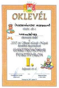 17 Gadányi és Somogyvári fesztivál M esztegnyő Község Önkormányzat főzőcsapata részt vett a 2017. évi gadányi XI. Kukoricás Ételek Fesztiválján, ahol egyéb versenyszámban II.