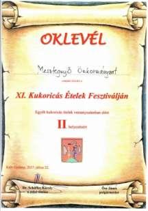 Községünk képviseletéért és a szép helyezésekért gratulálunk nekik! Szabó Magda /1917-2007/ (II.