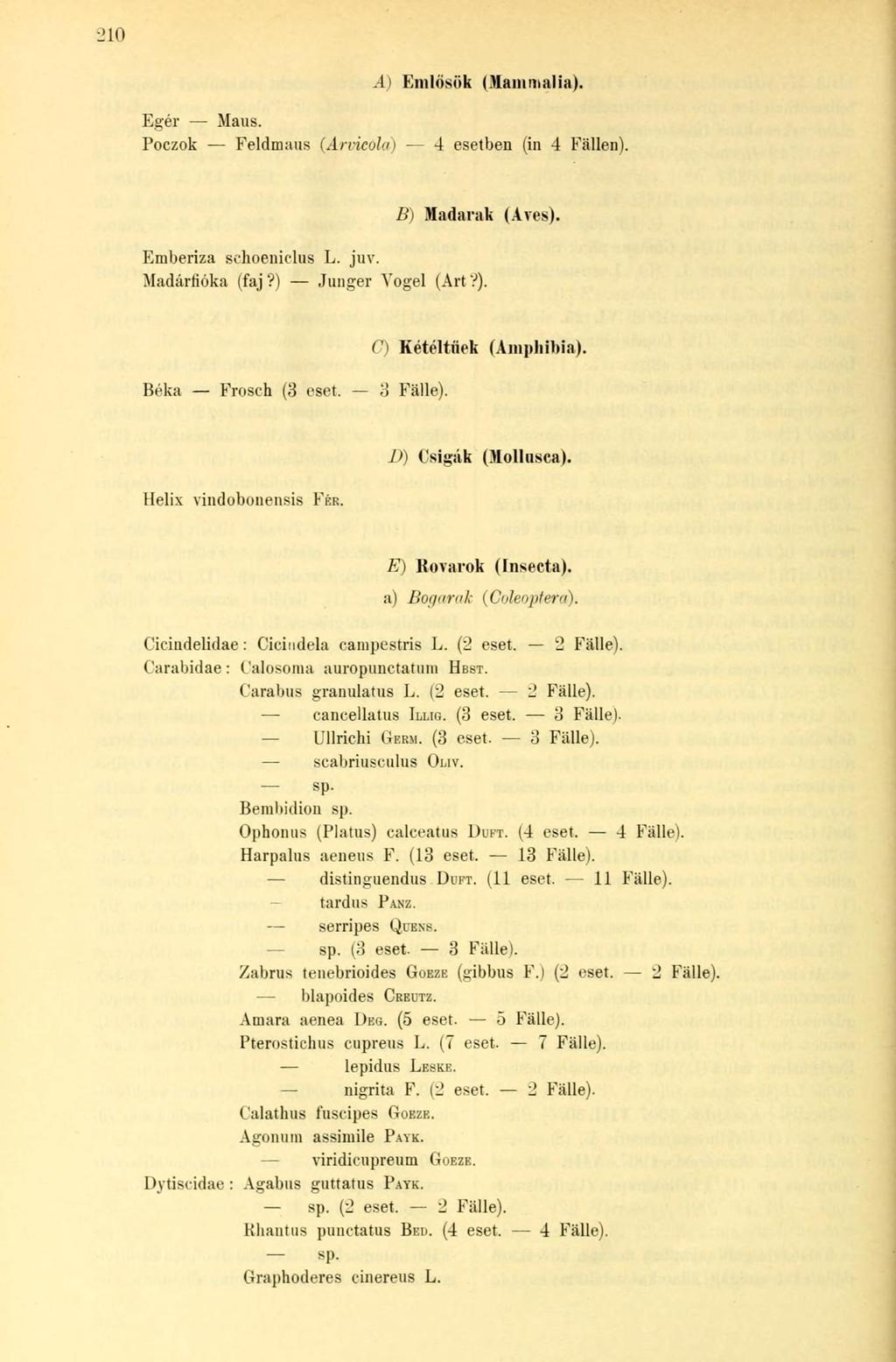 Egér Maus. á) Emlősök (Mammalia). Poczok Feldmaus (Arvicola) 4 esetben (in 4 Fällen). B) Madarak (Aves). Emberiza sehoeniclus L. juv. Madárfióka (faj?) Junger Vogel (Art?). G) Kétéltűek (Amphibia).