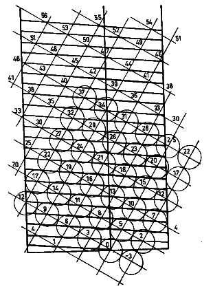 207 A levélállás másik jellemzési módja (fıleg szórt levél állás esetében), a divergenciaérték (olyan tört, amelynek számlálója az azonos ortostichonon kialakuló levélismétlıdést eredményezı