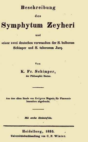 Heidelbergben barátkozott össze a zoológus és botanikus Louis Agassizzal, George Engelmannal és Alexander Braunnal.