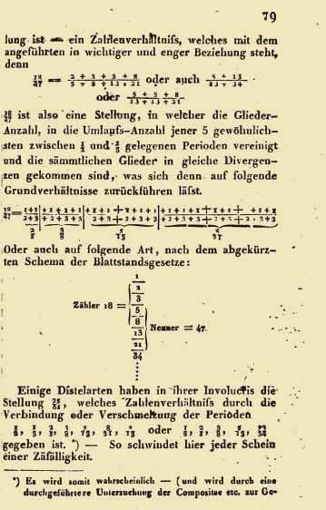 spirálissal jellemezhetı, szórt levélállású növényeken egyenletesen oszlanak meg a levelek a szár körül, tehát állandó a divergenciaszög.