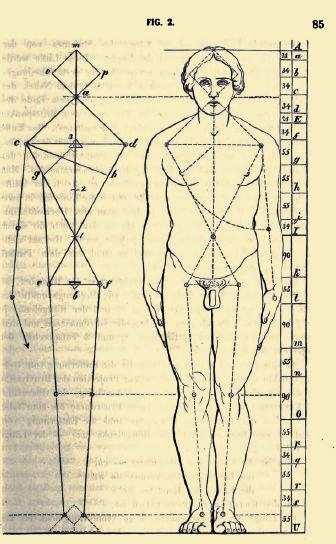 214 Zeising az Aus experimenteller Ästhetik (A kísérleti esztétikából) címő mővében ír mérési