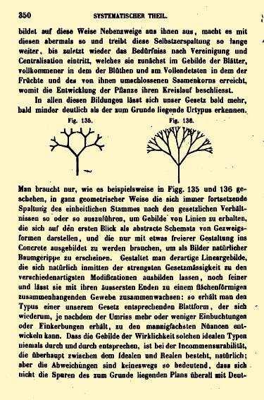 ábrák Zeising azonkívül megkísérelte az ókor és a középkor legkiválóbb építményein kimutatni, hogy