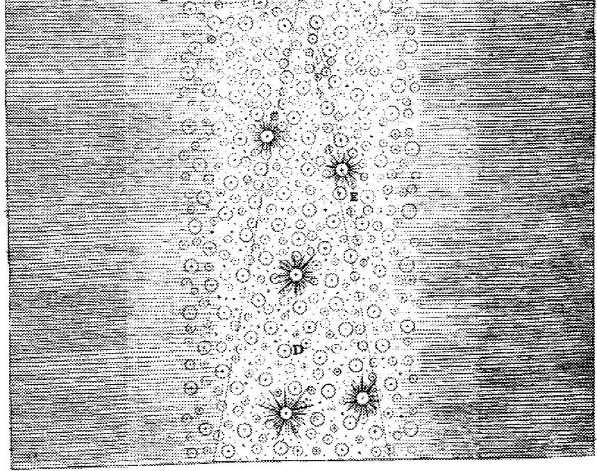 irányba tekint, azaz a réteg mentén kémleli az eget, számtalan csillagot észlel, amelyek együttesen tej szerő hatást keltetnek. Original Theory or New Hypothesis of the Universe (1750.) rajzai 4.42.