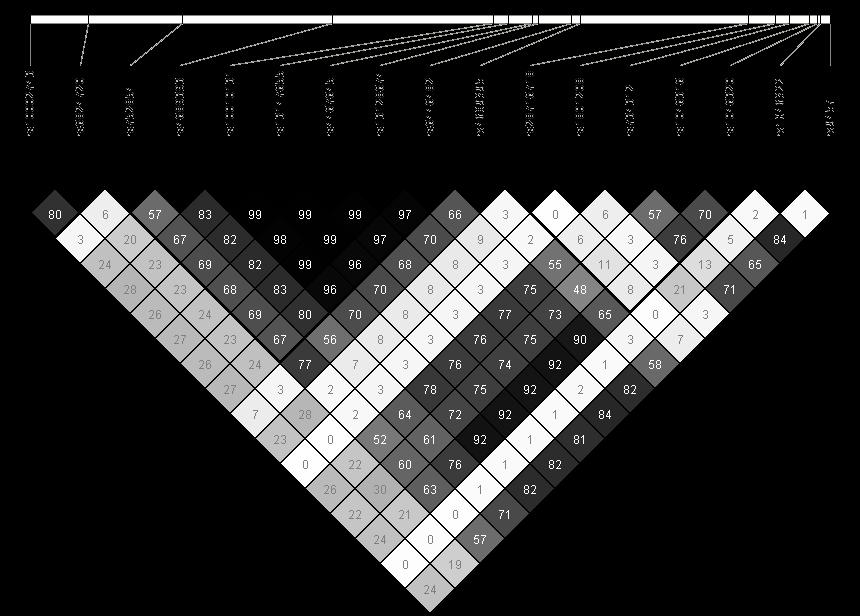 PCR mérésekkel azokban az esetekben, ahol fontos volt a maximális hatékonyság a statisztikai analízis szempontjából.