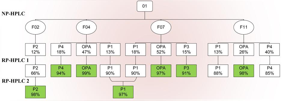 Eredmények és értékelés 54 15. ábra. Az O1 sarzs preparatív tisztításának folyamatábrája. Az egyes vegyületek tisztasága %-os értékben látható.