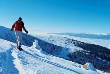 Feriendorf Koralpe Feriendorf Koralpe c/o Koralpen