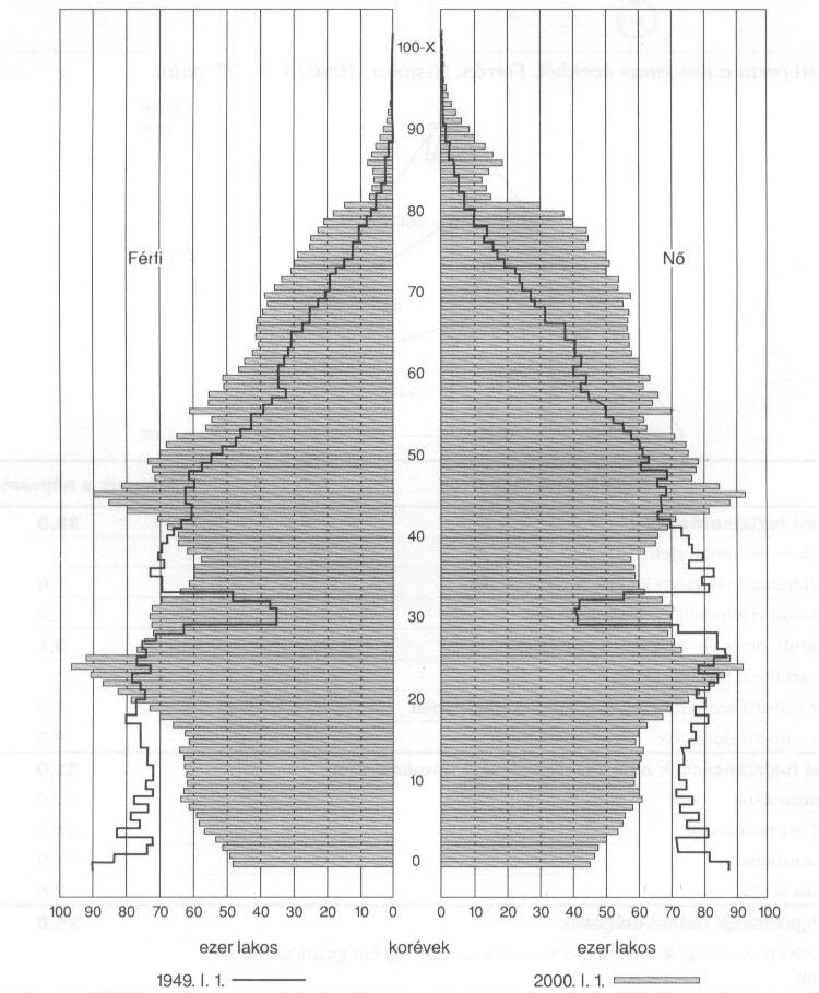 Albero demografico della società ungherese 1949-2000 a) Come cambiò la natalità fra 1949-2000?... b) Come cambiò la proporzione degli ultraquarantenni fra 1949-2000?