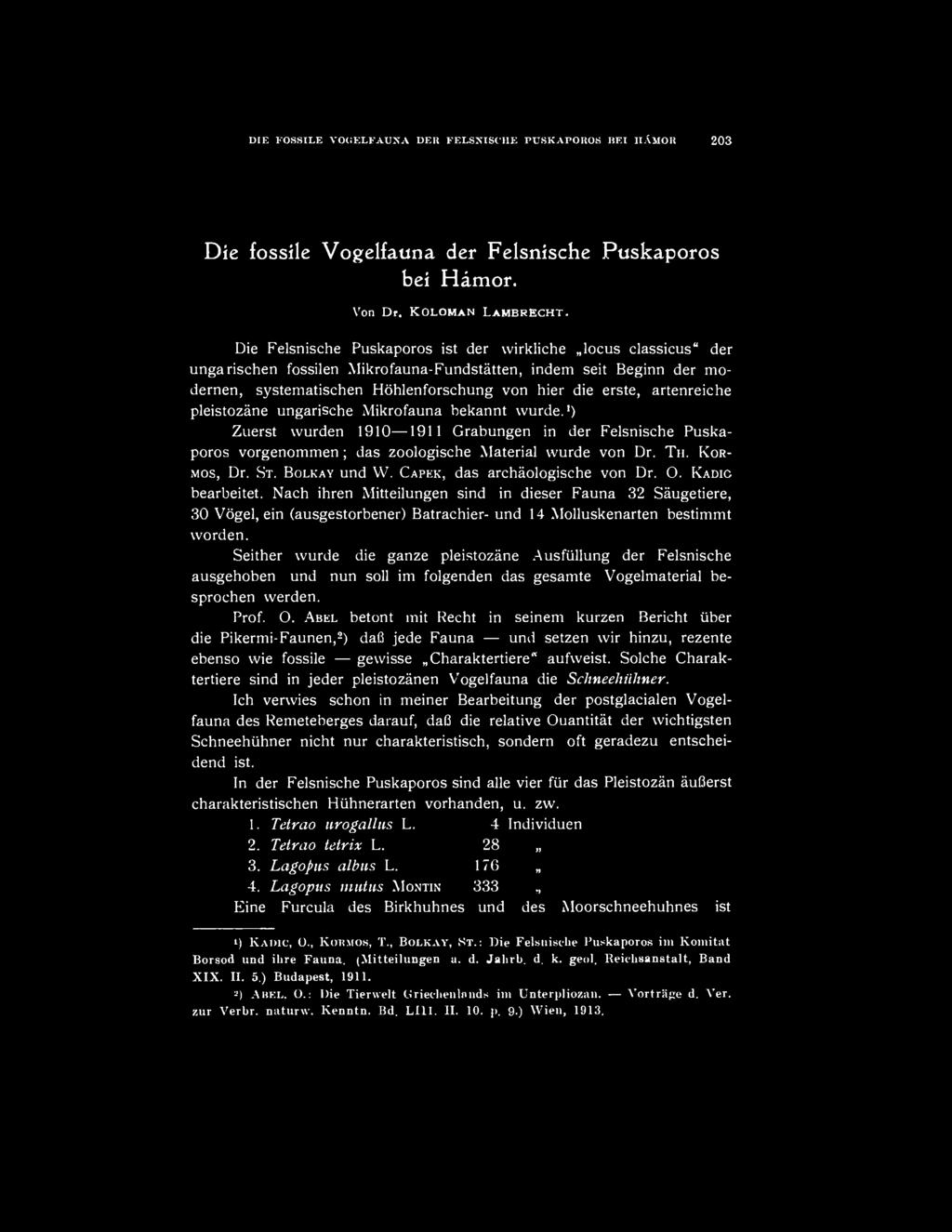 artenreiche pleistozáne ungarische Mikrofauna bekannt wurde. 1 ) Zuerst wurden 1910 1911 Grabungen in der Felsnische Puskaporos vorgenommen; das zoologische Material wurde von Dr. TH. KOR- MOS, Dr.