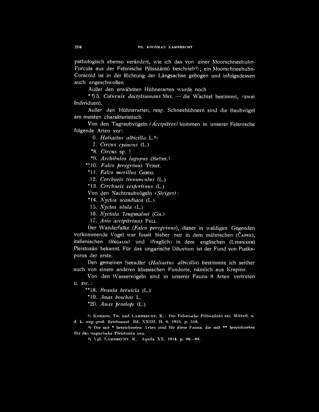 Lángsachse gebogen und infolgedessen auch angeschwollen. Auföer den erwáhnten Hühnerarten wurde noch * 2 )5. Coturnix dactylisonans MEY. die Wachtel bestimmt, (zwei Individuen).