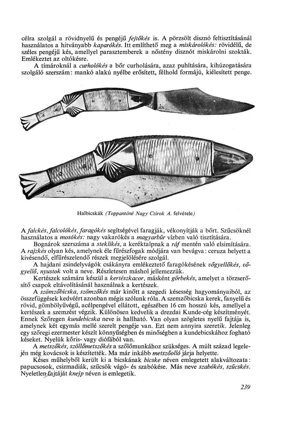 célra szolgál a rövidnyelű és pengéjű fej tőkés is. A porzsolt disznó feltisztításánál használatos a hitványabb kaparókés.