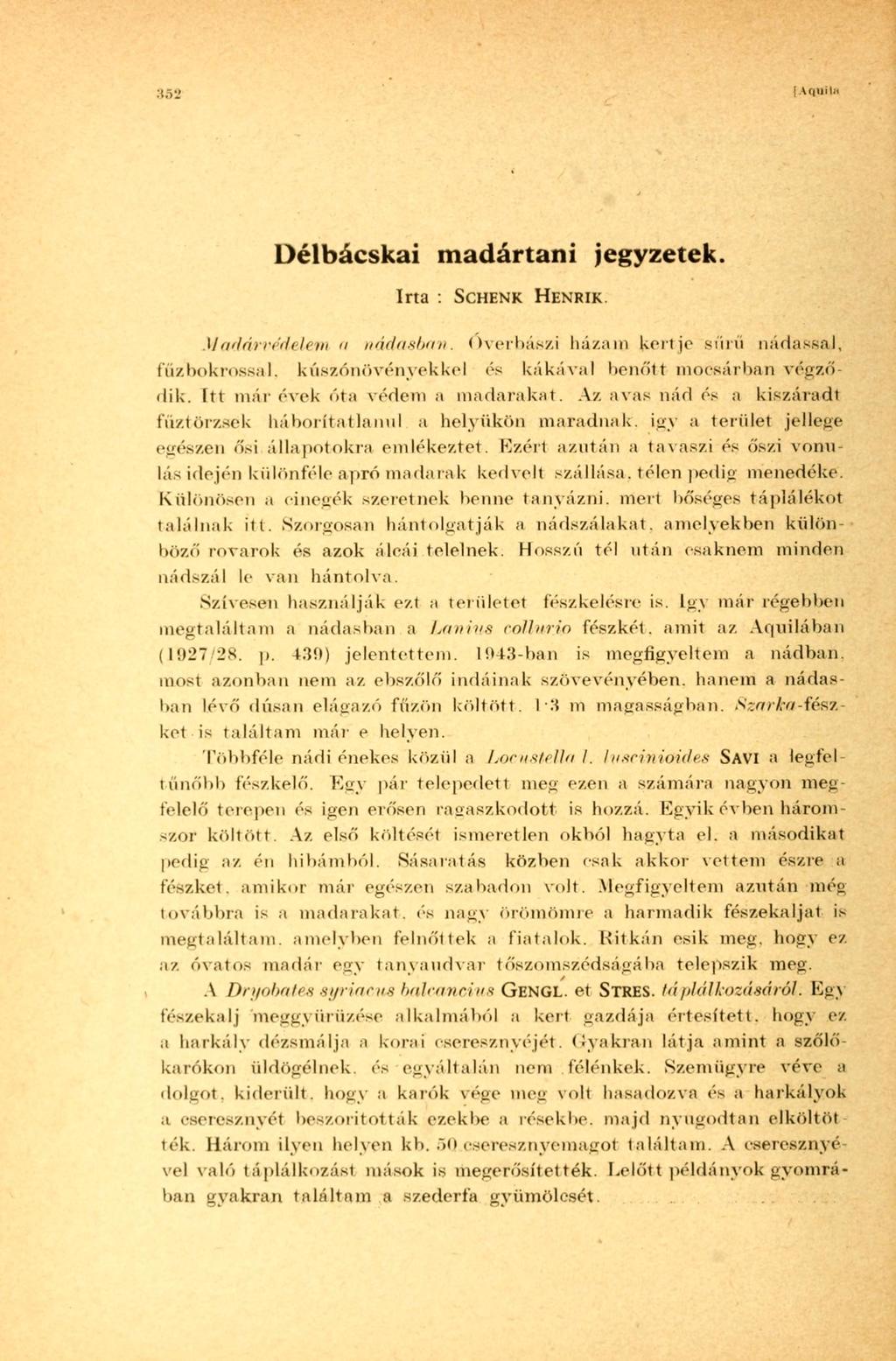 :i5l" I A ((II Mi' Délbácskai madártani jegyzetek. Irta : SCHENK HENRIK. Madárvédelem a nádasban.