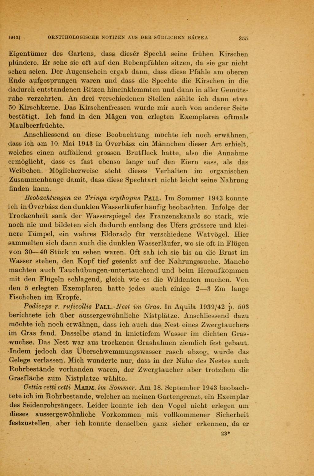 19431 ORNITHOLOGISCHE NOTIZEN AUS PER SÜDLICHEN BÁCSKA 355 Eigentümer des Gartens, dass dieser Specht seine frühen Kirschen plündere.