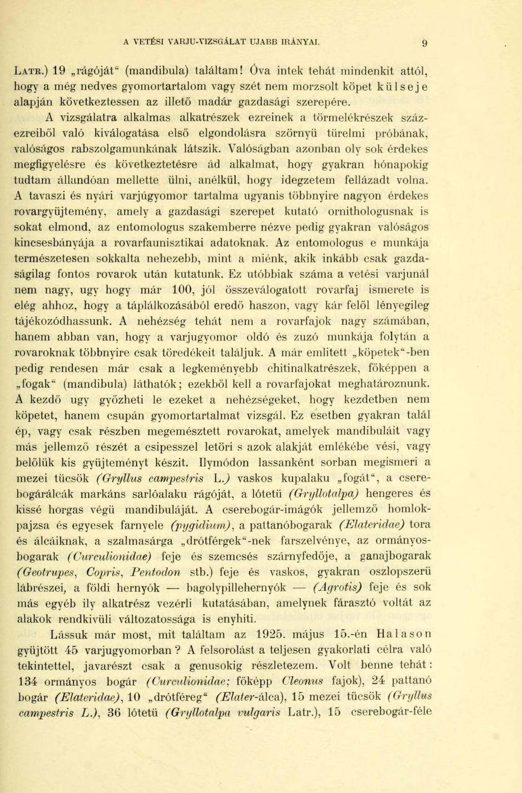 A VETÉSI VARJU-VIZSGÁLAT UJABB IRÁNYAI. 9 LATR.) 19 rágóját" (mandibula) találtam!