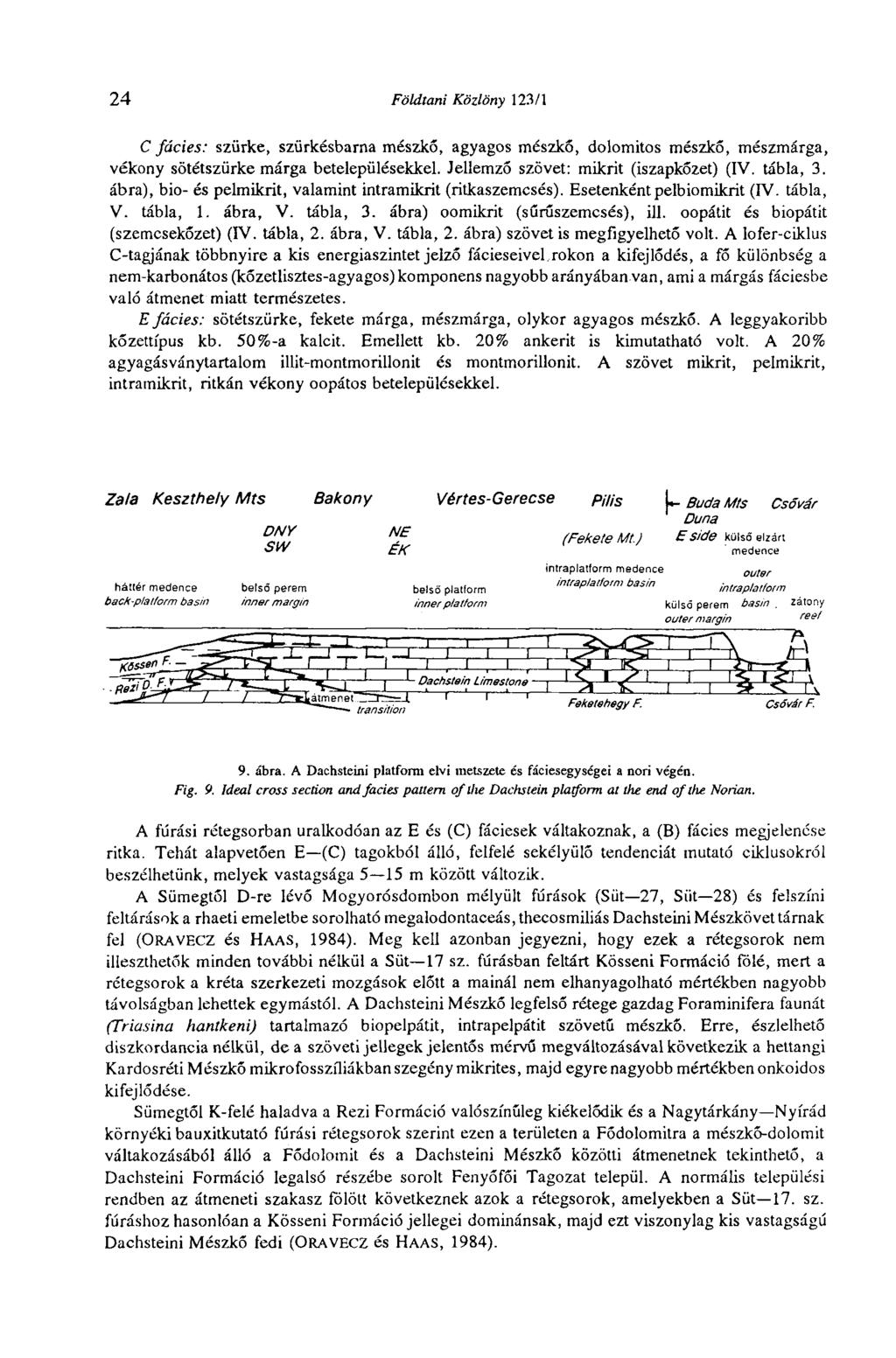 24 Földtani Közlöny 123/1 С fácies: szürke, szürkésbarna mészkő, agyagos mészkő, dolomitos mészkő, mészmárga, vékony sötétszürke márga betelepülésekkel. Jellemző szövet: mikrit (iszapkőzet) (IV.