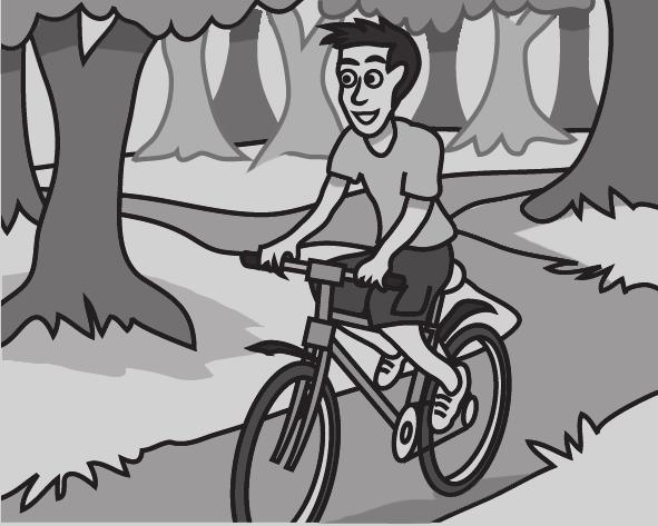 a bike ride in the forest.