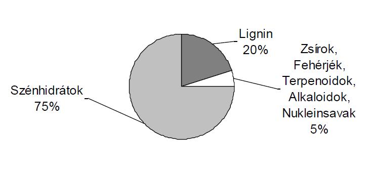 3) Szénhidrátok Cukrok fontossága: A Földön évente 200 milliárd tonna biomassza képződik, amelynek 75%-a szénhidrát, de ennek csak 3%-át hasznosítják.