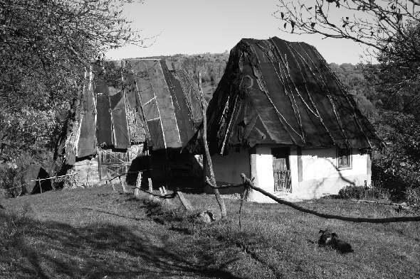 64 IULIE-DECEMBRIE 2015 CÃDERE SATUL ROMÂNESC ÎNTRE VEªNICIRE ªI FAMILIA ROMÂNÃ încã peri nu-mi pot povesti lumea care era aici odinioarã.