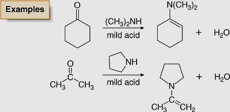 Addition of 2 o Amines Formation of