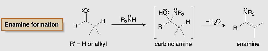 aldehyde or ketone to give an enamine.