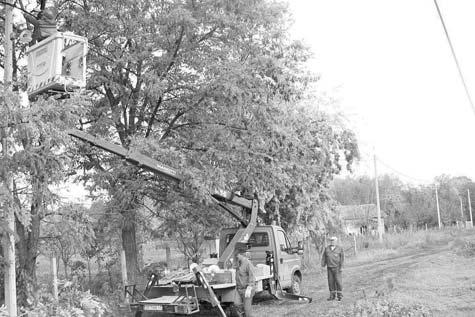 Наше политичарке нису мрднуле даље од по неке министарске фотеље или скупштинске функције.