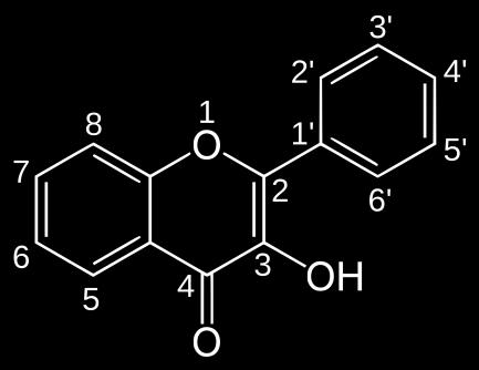 H-, -csoportok R 1 R 2 H H H H R 2 vagy C glikozidok mono-, diglikozidok (ritkábban