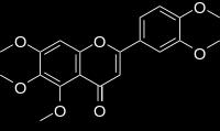 virágzás előtt gyűjtött levelei Jellemző vegyületek, hatóanyagok flavonoidok: lipofil flavonoidok (szinenzetin, eupatorin, szkutellarein-tetrametiléter), flavonol-glikozidok kávésav származékok: