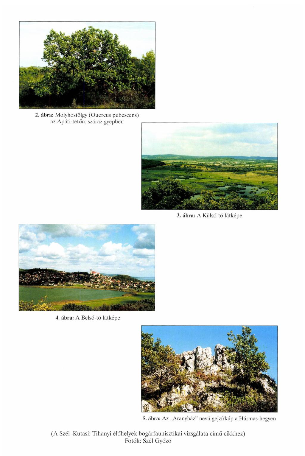 2. ábra: Molyhostöigy (Qucrcus pubescens) az Apáti-tetőn, száraz gyepben 3. ábra: A Külső-tó látképe 4. ábra: A Belső-tó látképe 5.