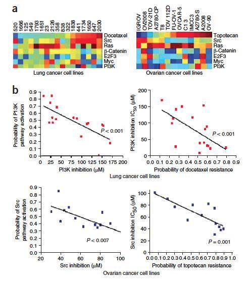 Korreláció onkogén szignál útvonalak aktivációja és kemorezisztenciák között: Kombinációs