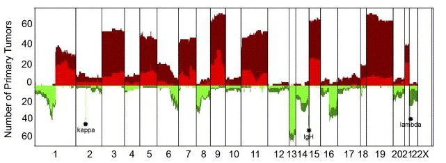 Myeloma multiplex acgh analízise 55 MM sejtvonal, 73