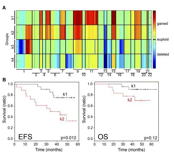 Myeloma multiplex acgh analízise: prognosztikus besorolás hiperdiploid: k1, k2 nem-hiperdiploid: k3,k4 Konklúzió: